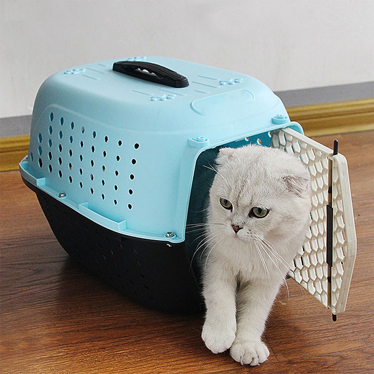 pet-carrier-emily-pets-jet-box-xs-sky-blue