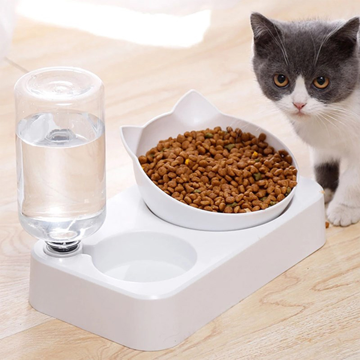 2in1-pet-feeder-bowl-and-water-dispenser