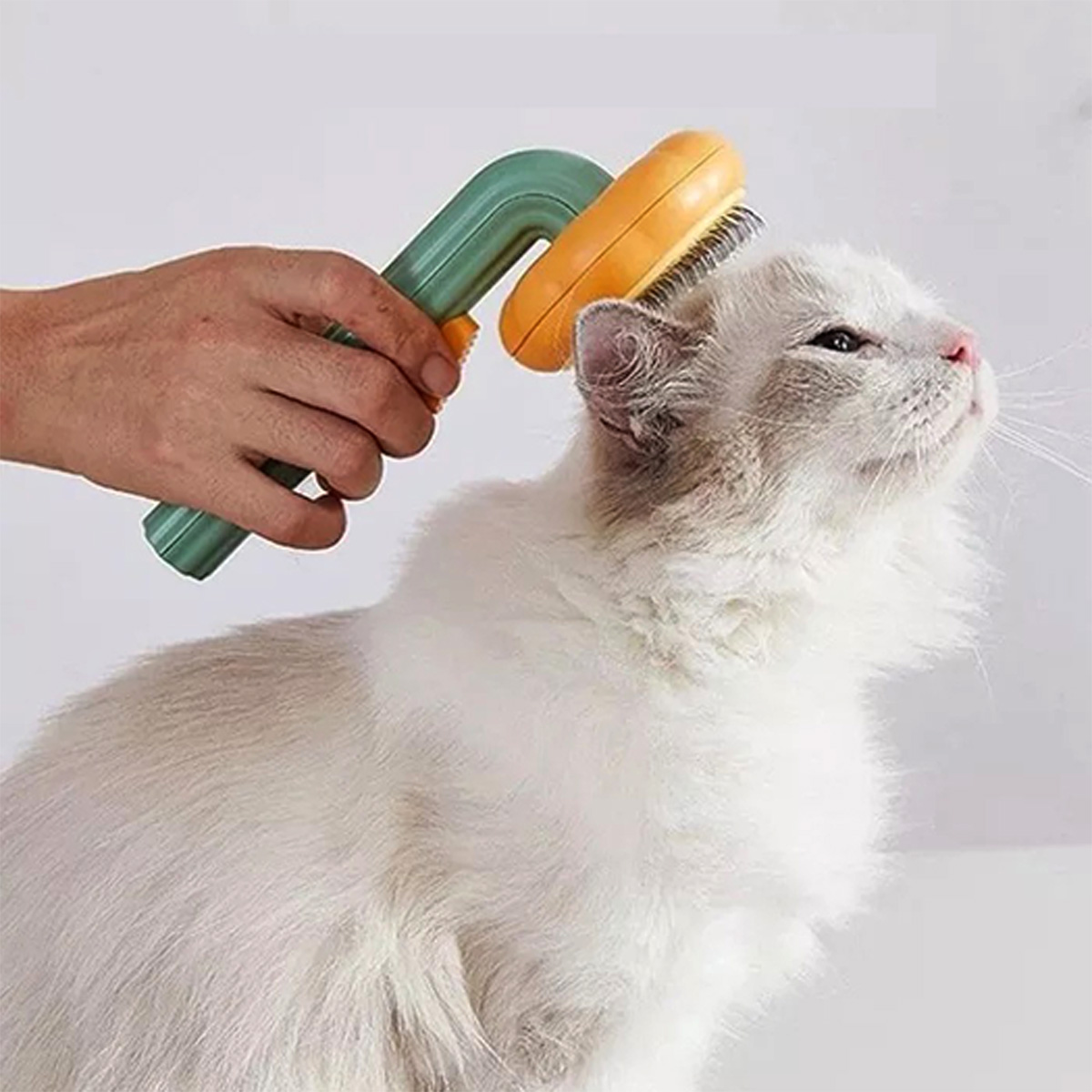 pet-slicker-brush-pumpkin-shaped