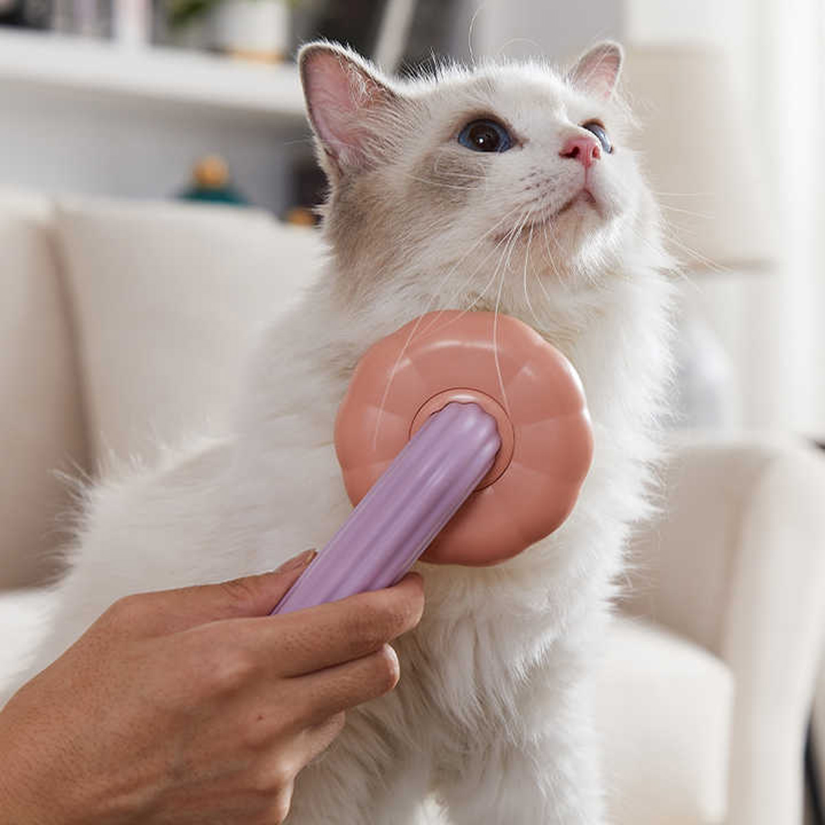 pet-slicker-brush-pumpkin-shaped