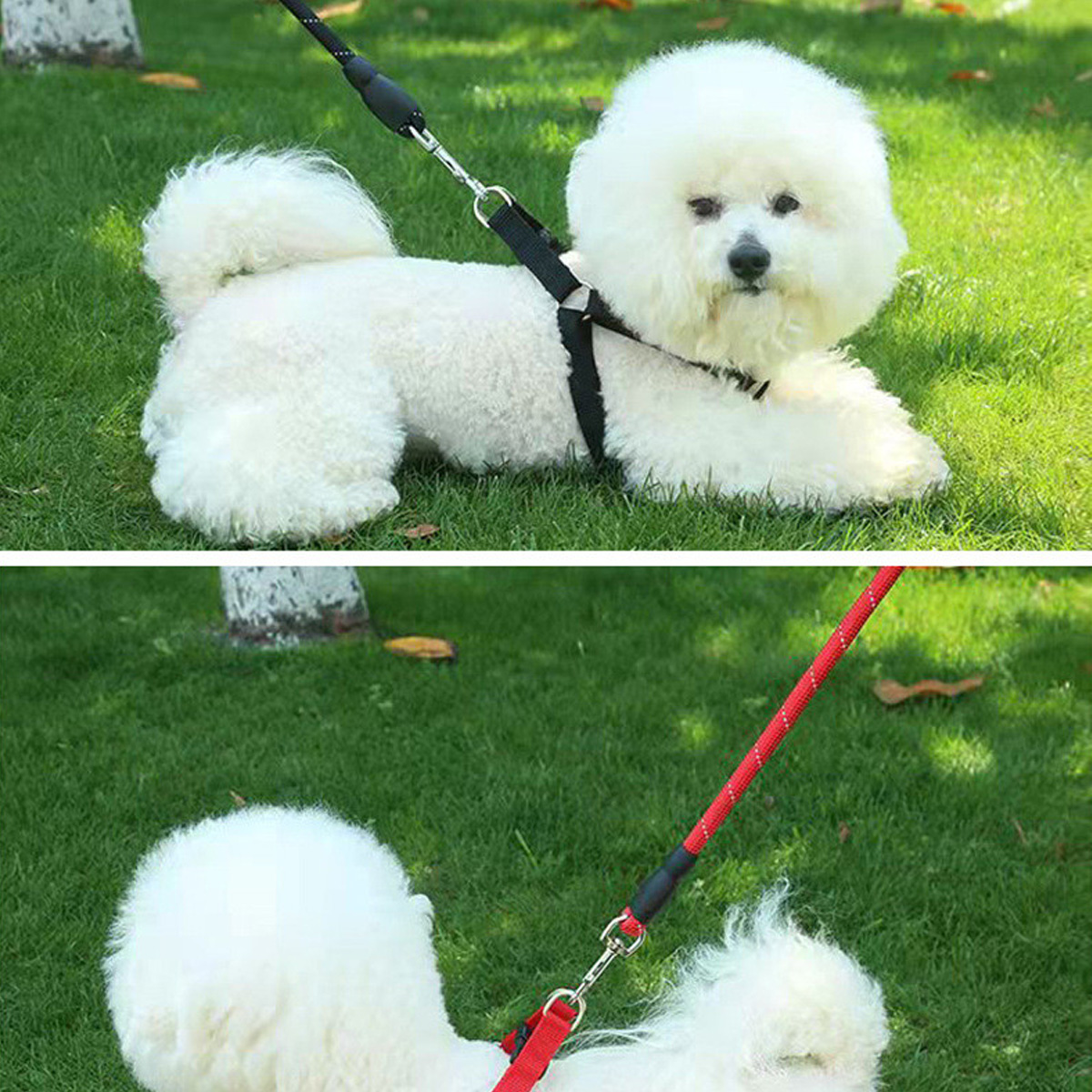 dog-leash-nylon-reflective-foam-handle