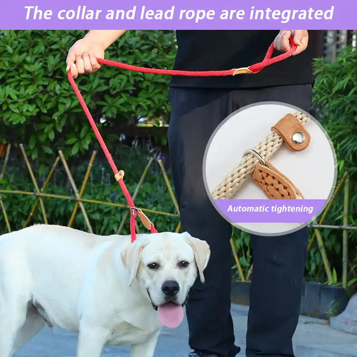 dog-leash-slip-rope-nylon