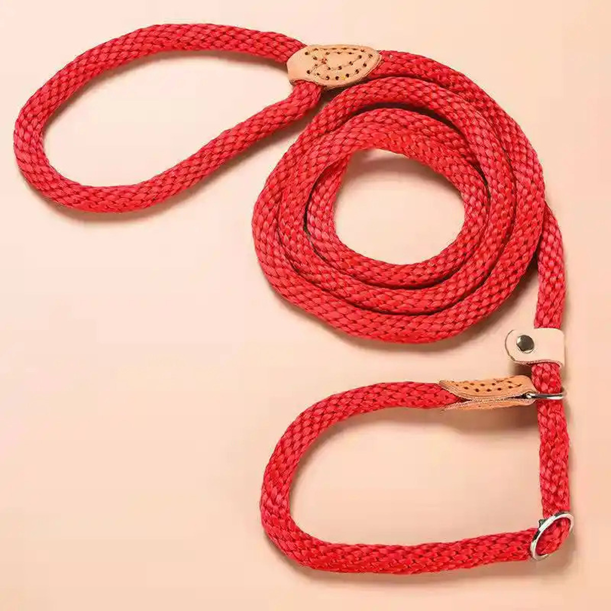 dog-leash-slip-rope-nylon