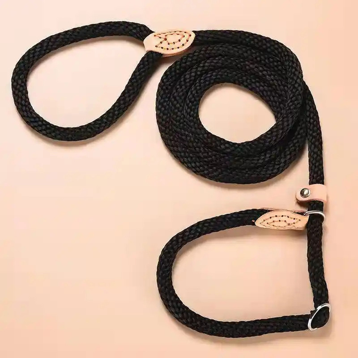 dog-leash-slip-rope-nylon