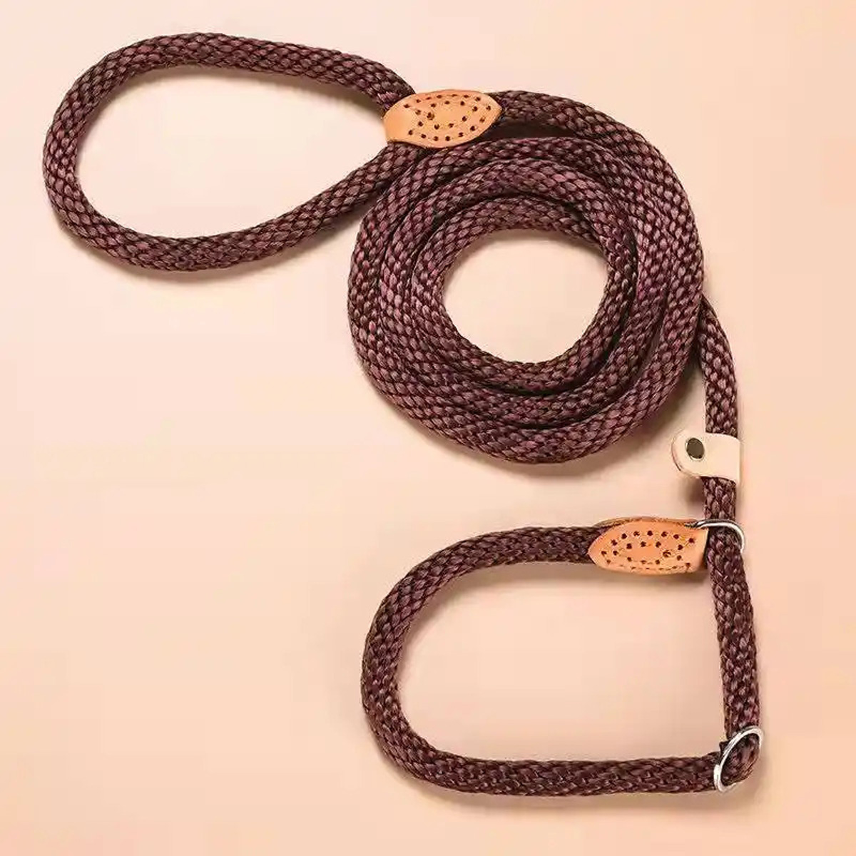 dog-leash-slip-rope-nylon