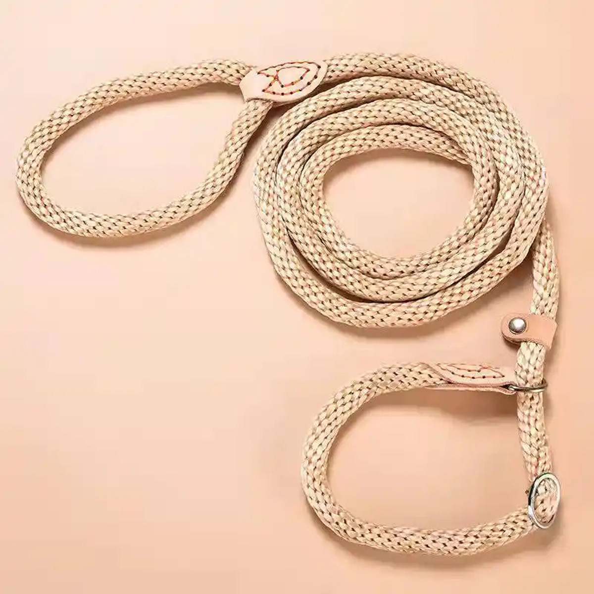 dog-leash-slip-rope-nylon