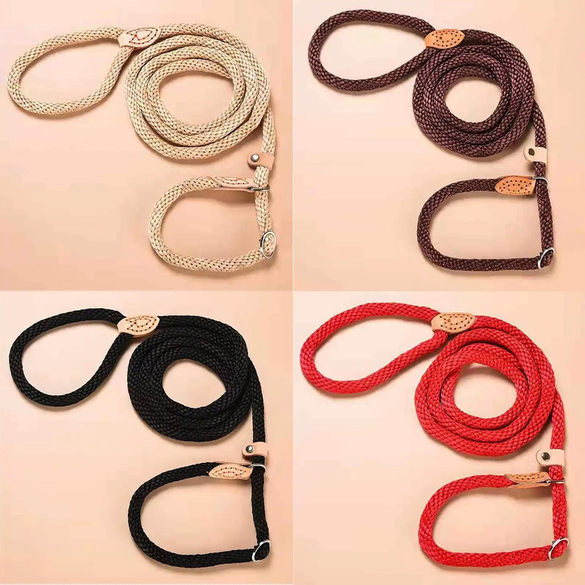 dog-leash-slip-rope-nylon