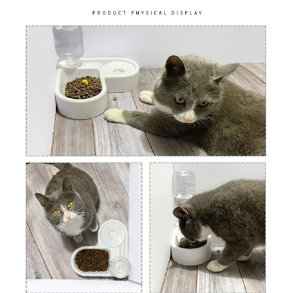 2-in-1-automatic-water-dispenser-detachable-food-bowl