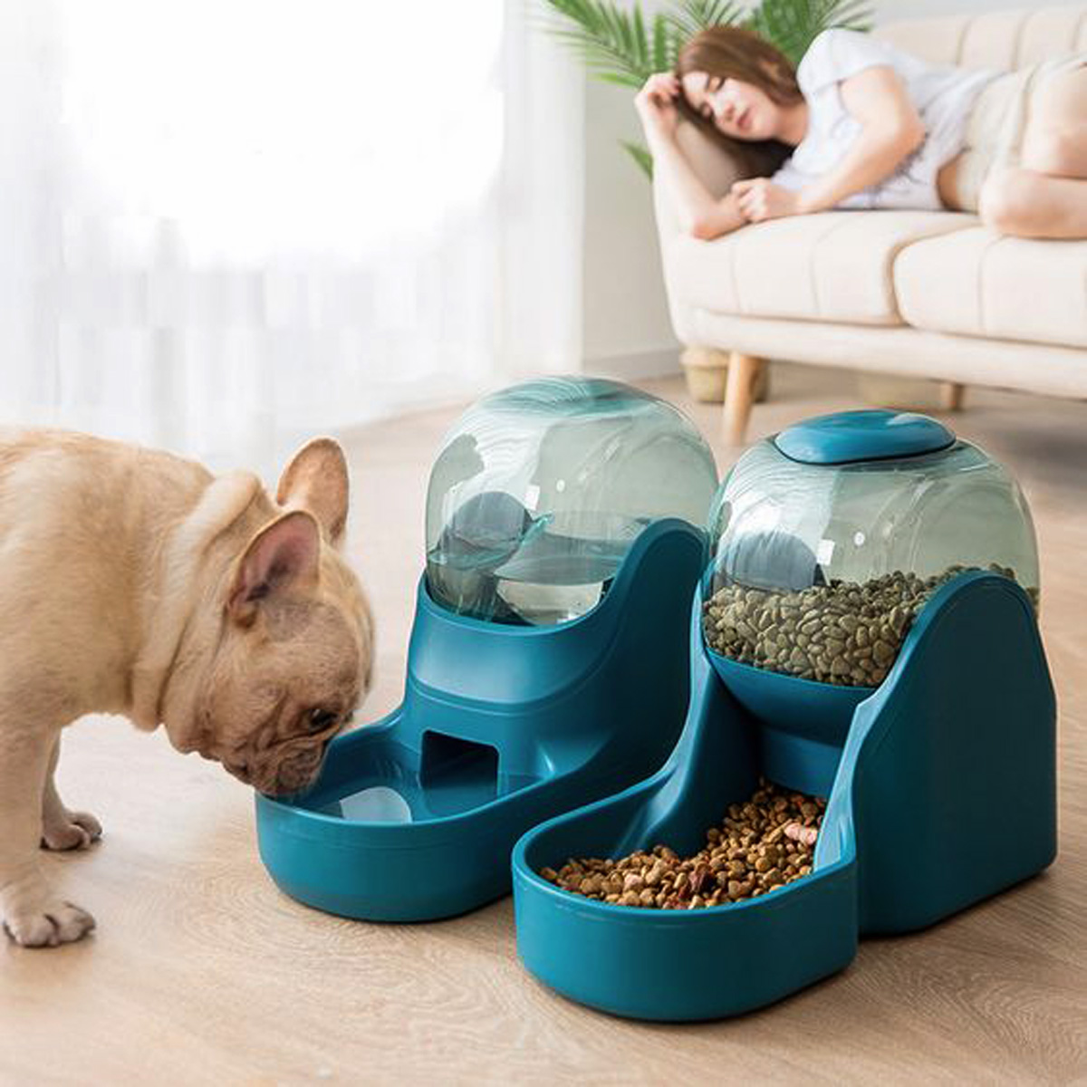 pet-food-and-water-dispenser