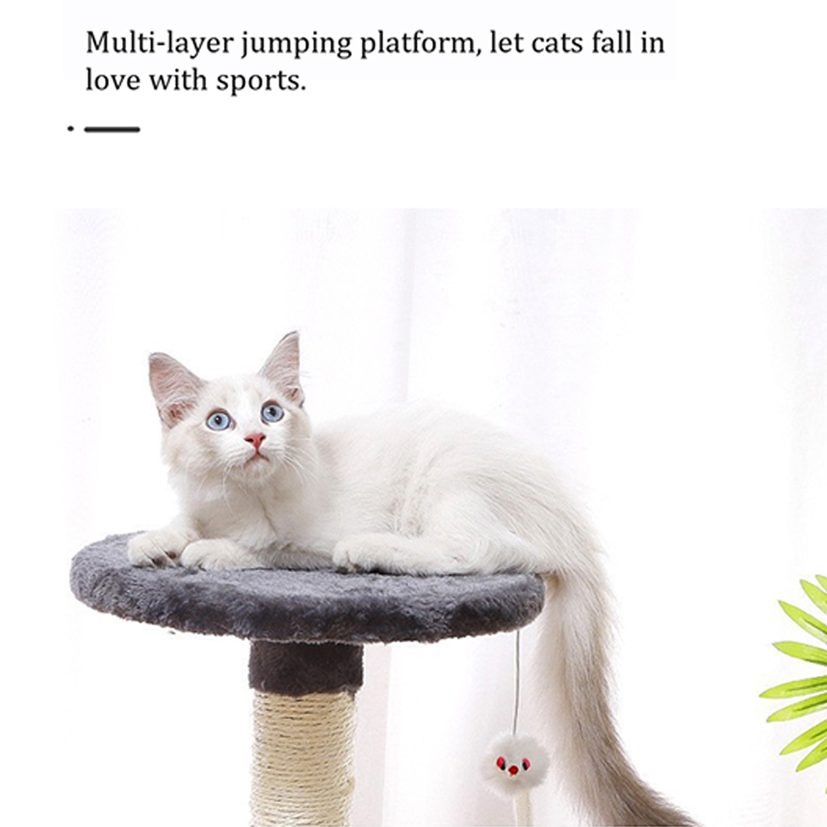 cat-scratcher-6