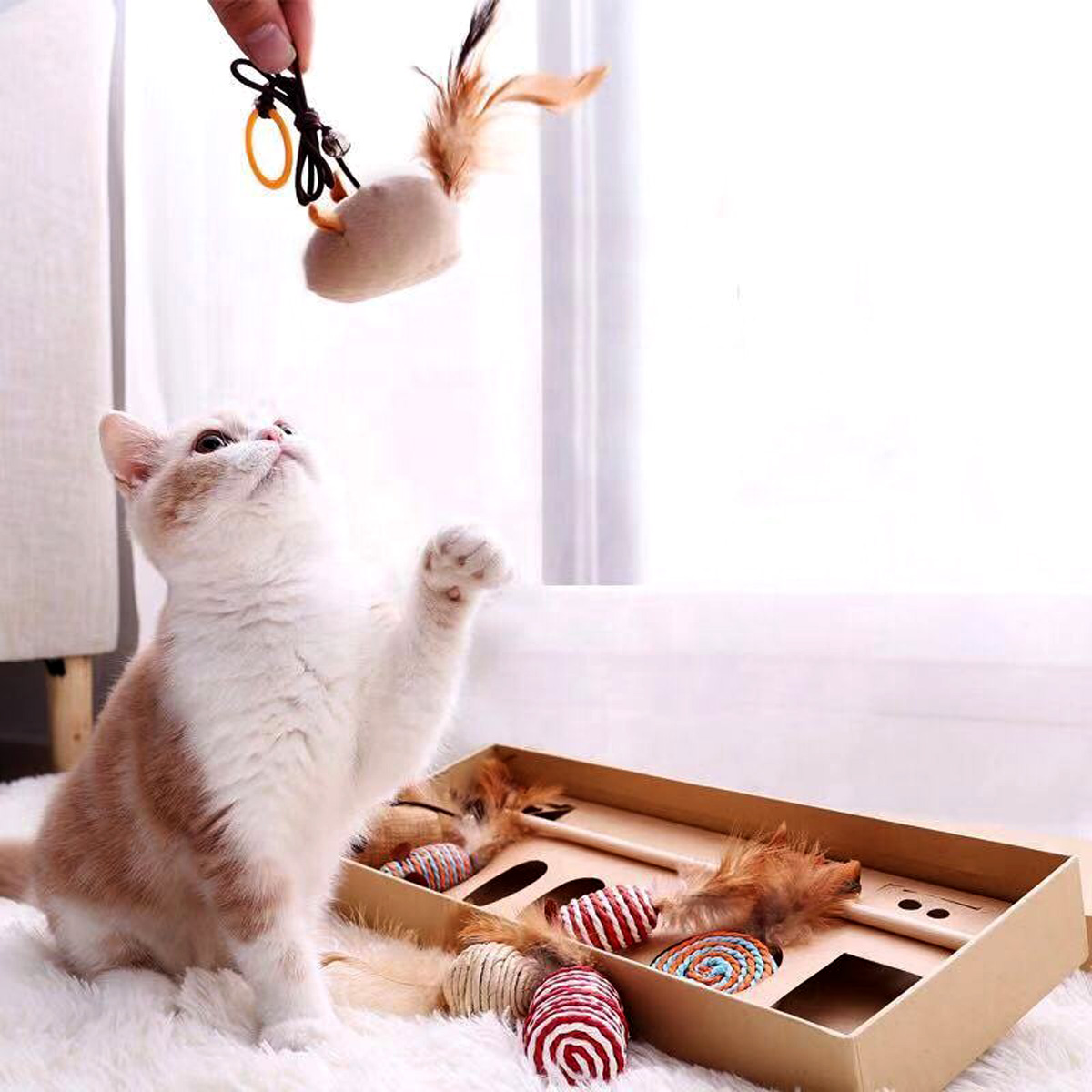 cat-toy-seven-pieces-gift-box-3