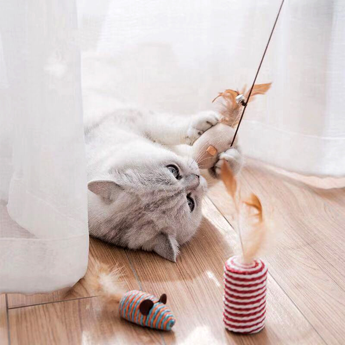 cat-toy-seven-pieces-gift-box-4