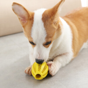 dog-teeth-cleaning-rubber-chewing-rugby-ball-toy-1