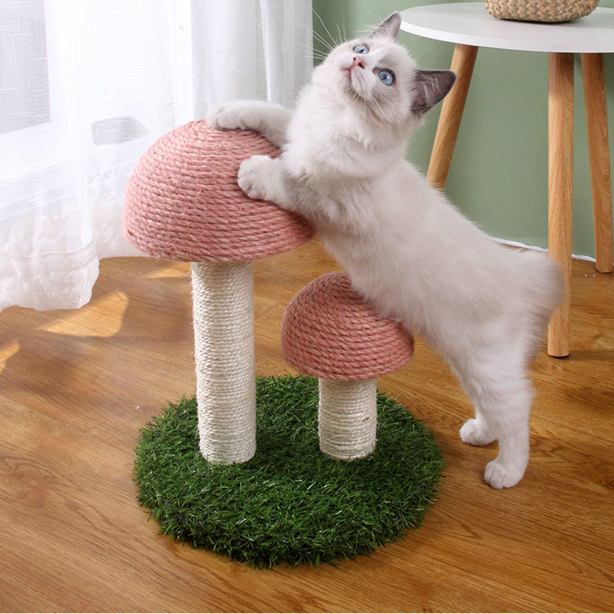 mushroom-shape-cat-scratcher-2