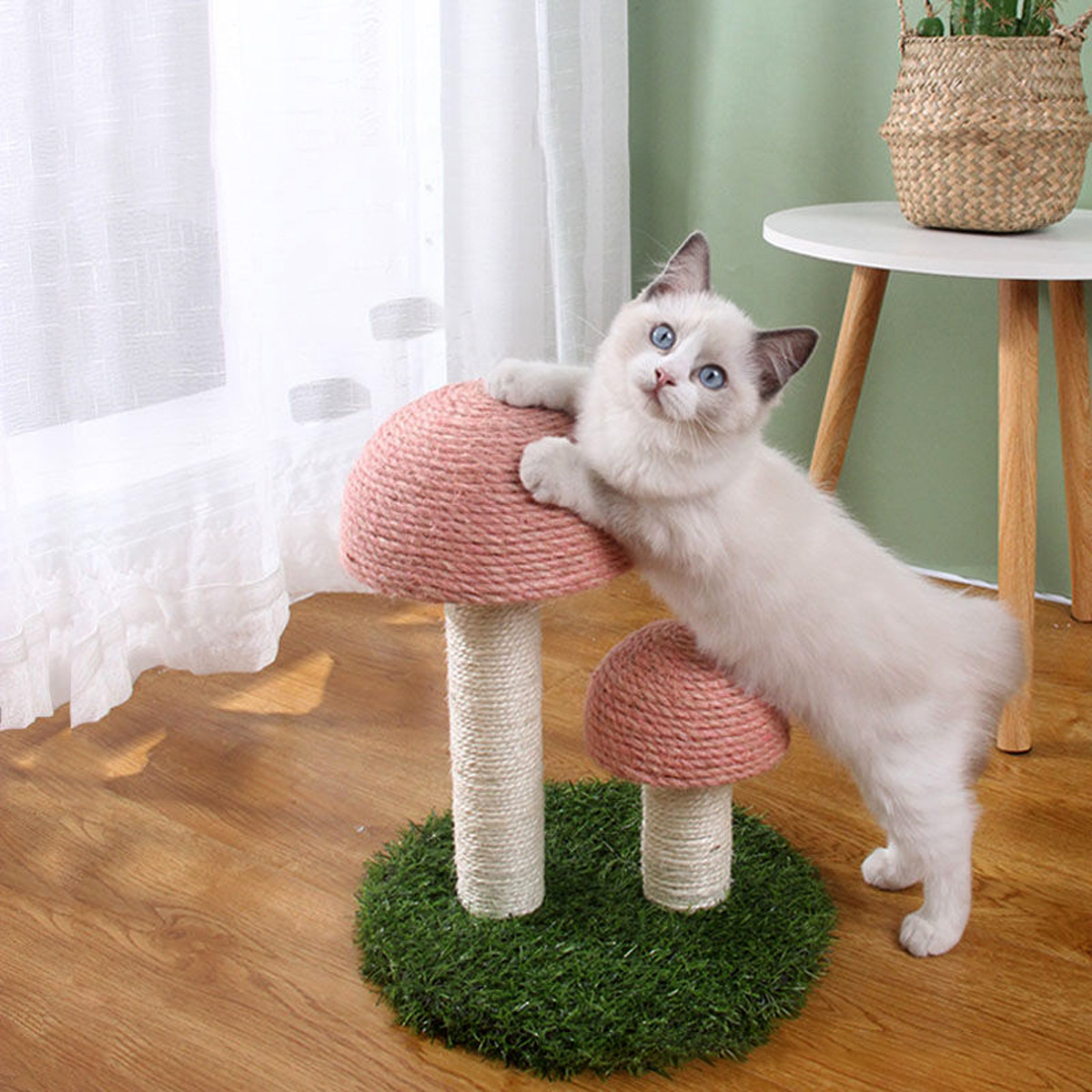 mushroom-shape-cat-scratcher-4