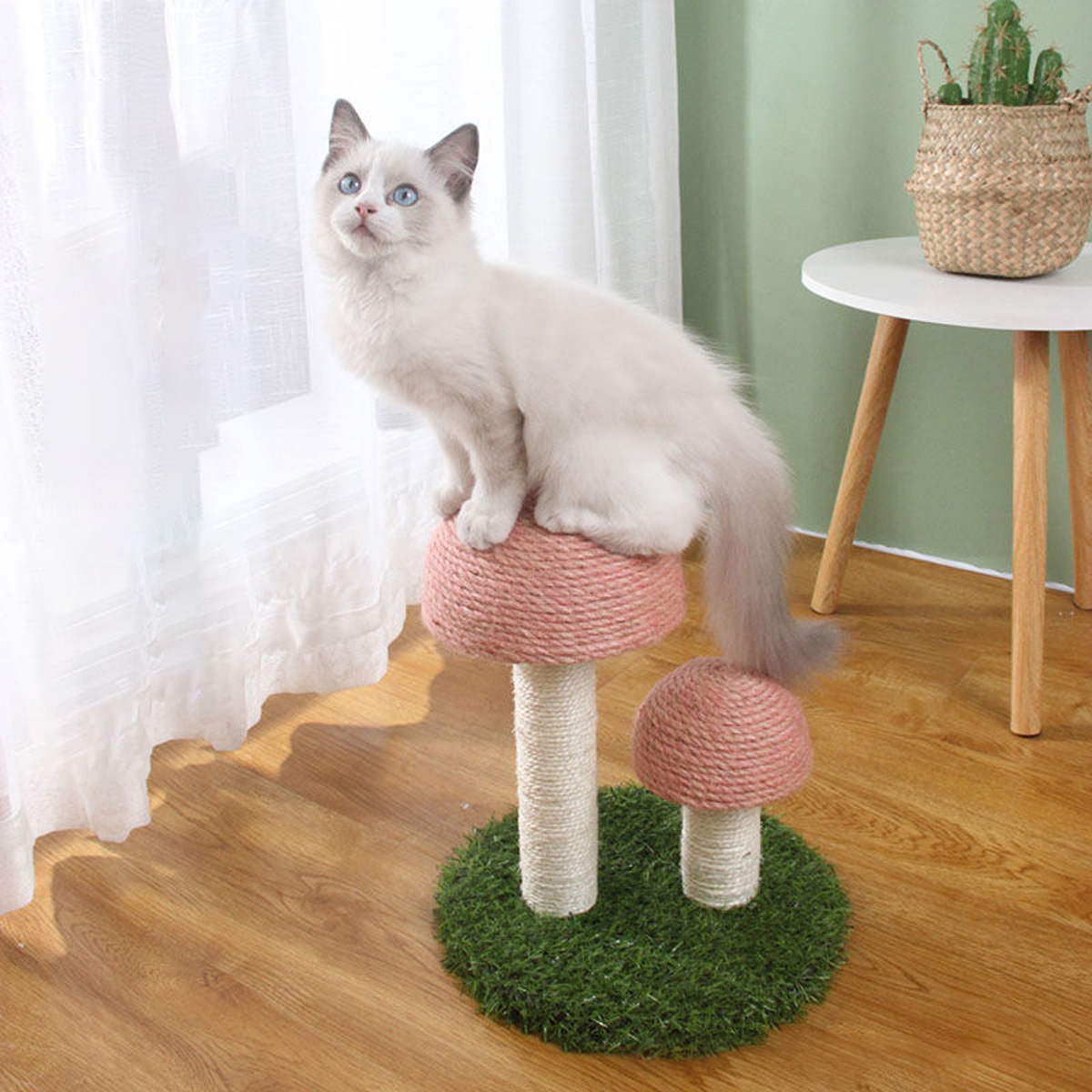 mushroom-shape-cat-scratcher-5