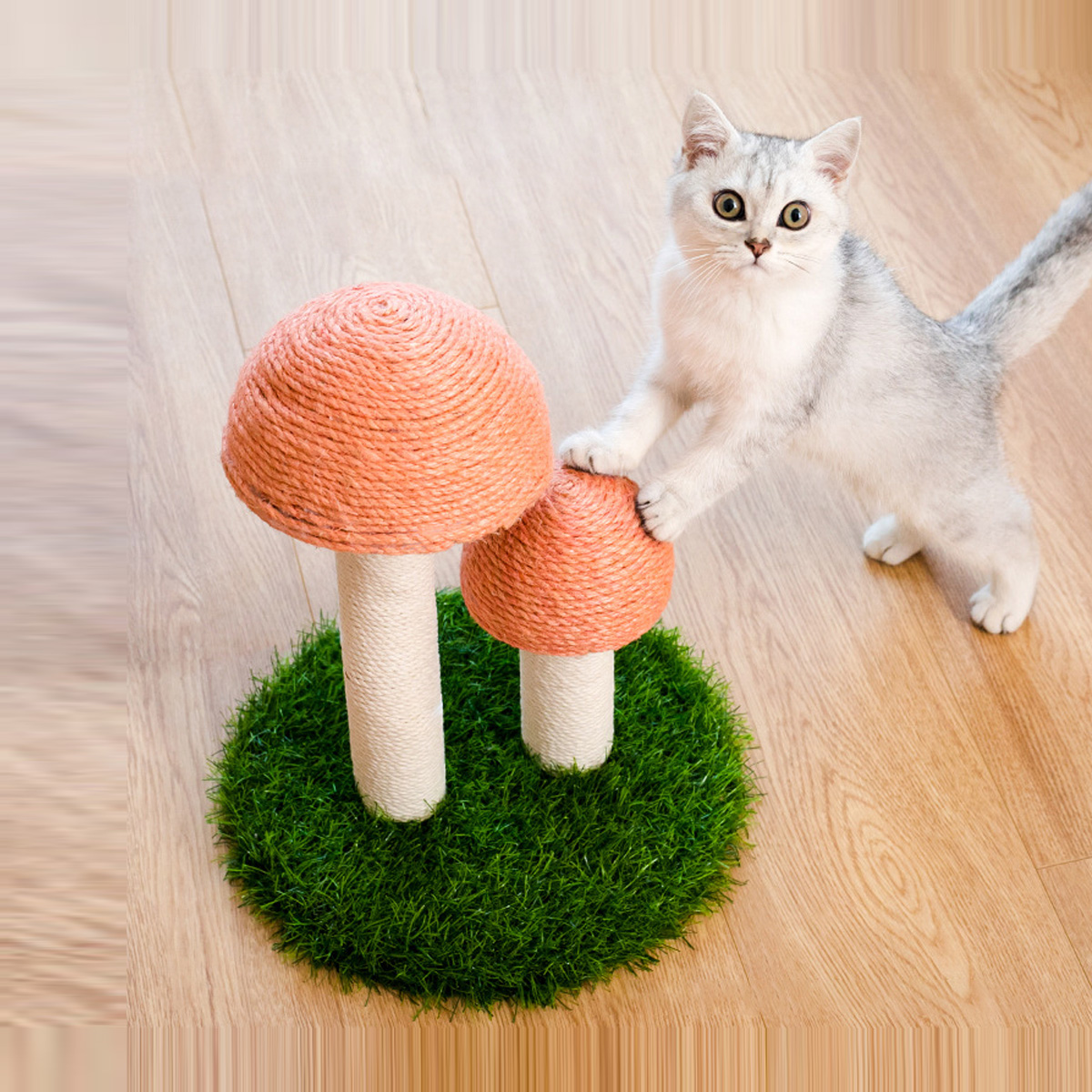 mushroom-shape-cat-scratcher-5