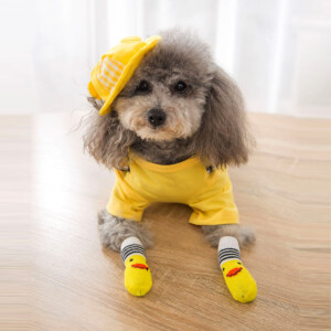 pet-socks-1